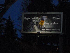 I-90 Wildlife Watch billboard in Seattle, January 2012