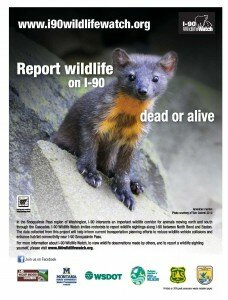 I-90 Wildlife Watch flyer